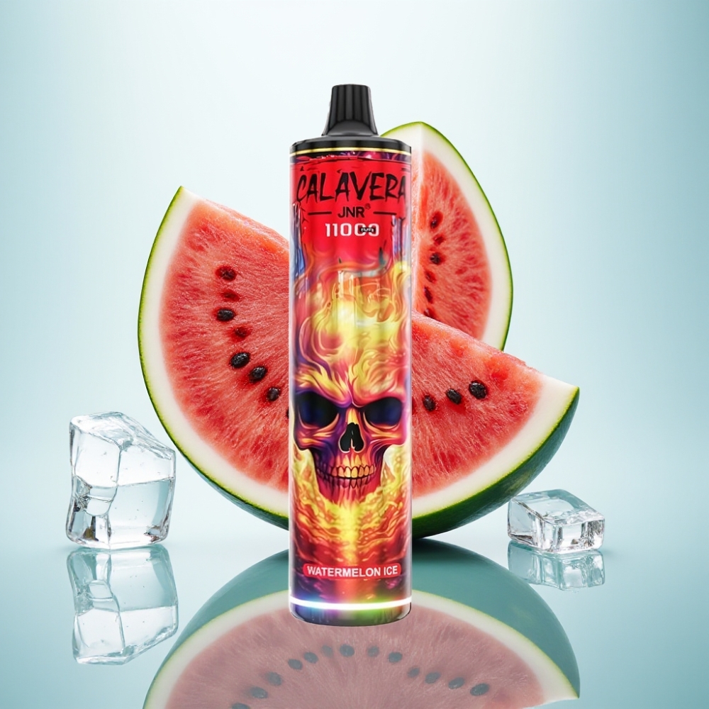 JNR Calavera 11000 Puffs Type-C 21ml Arbūzu Ledus