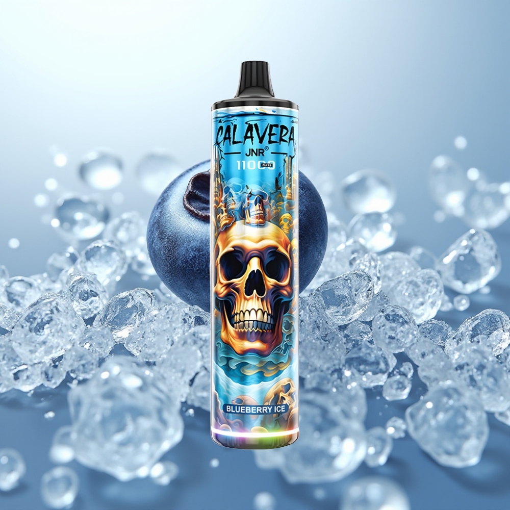 JNR Calavera 11000 Puffs Type-C 21ml Blueberry Ice