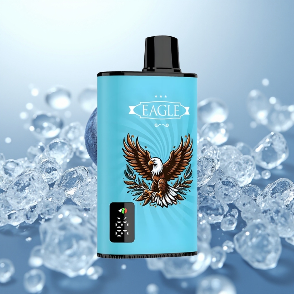 JNR EAGLE Smart 23000 Puffs Disposable Vape Blueberry Ice ar digitālo displeju, 1.0ohm sietu spole un Type-C uzlādi