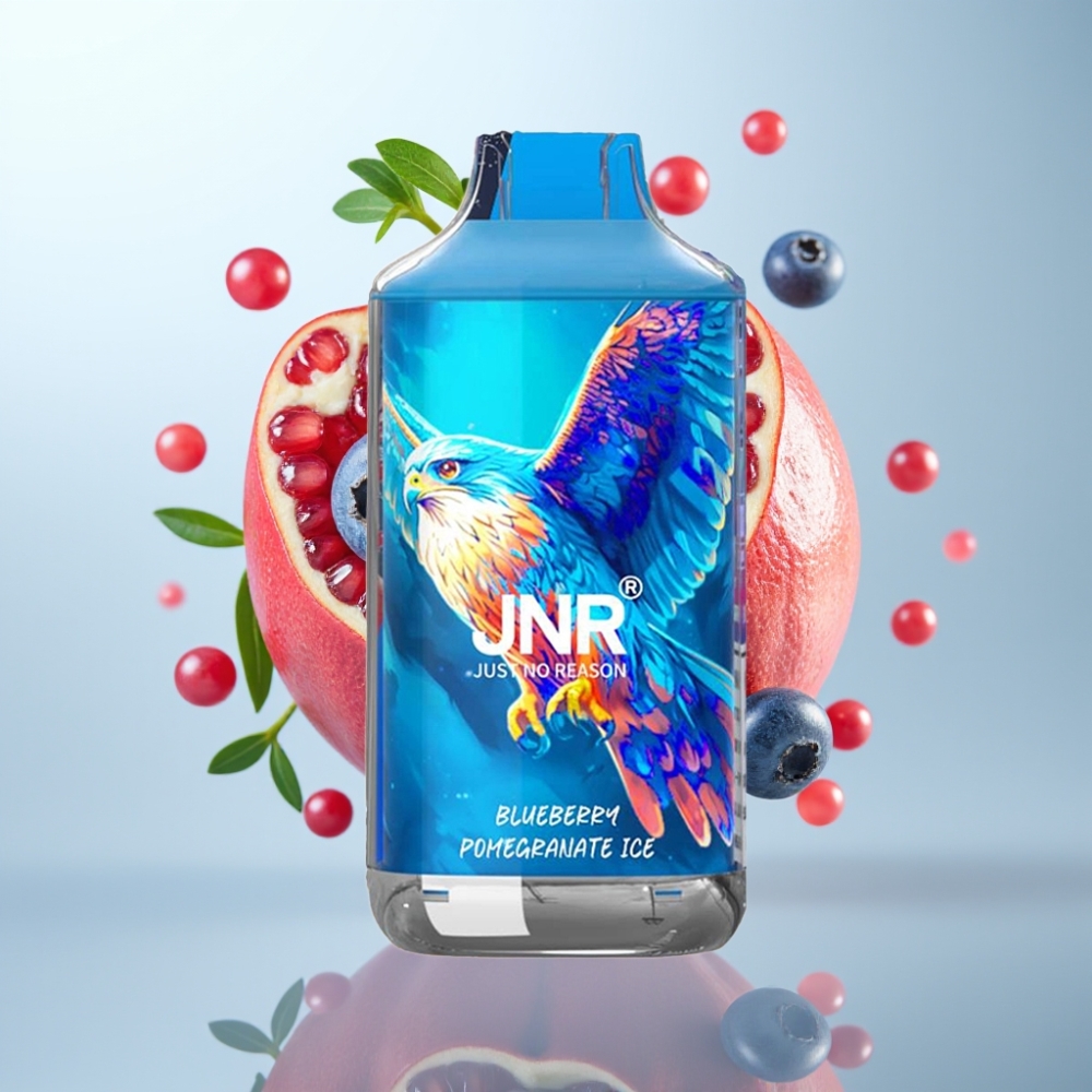 JNR Falcon 16000 Puffs 22ml 850mAh Type C & Lightning Blueberry Pomegranate Ice