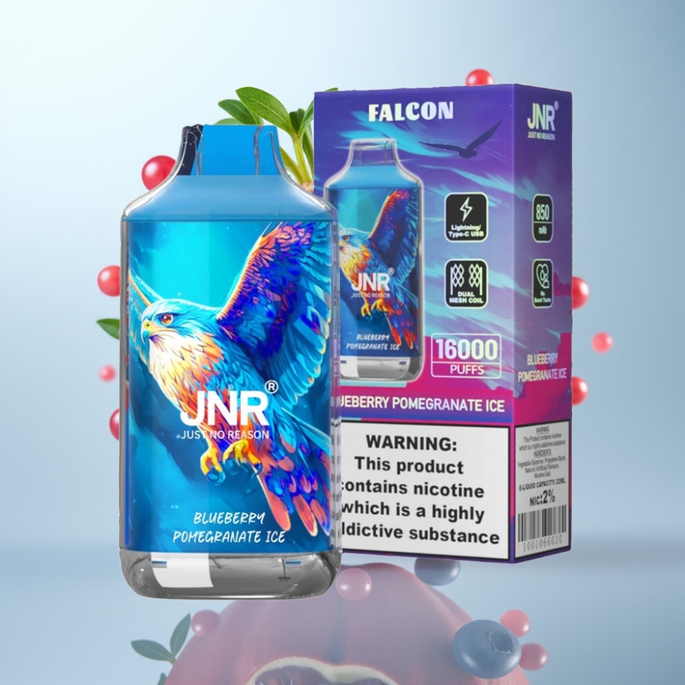 JNR Falcon 16000 Puffs 22ml 850mAh Type C & Lightning Blueberry Pomegranate Ice