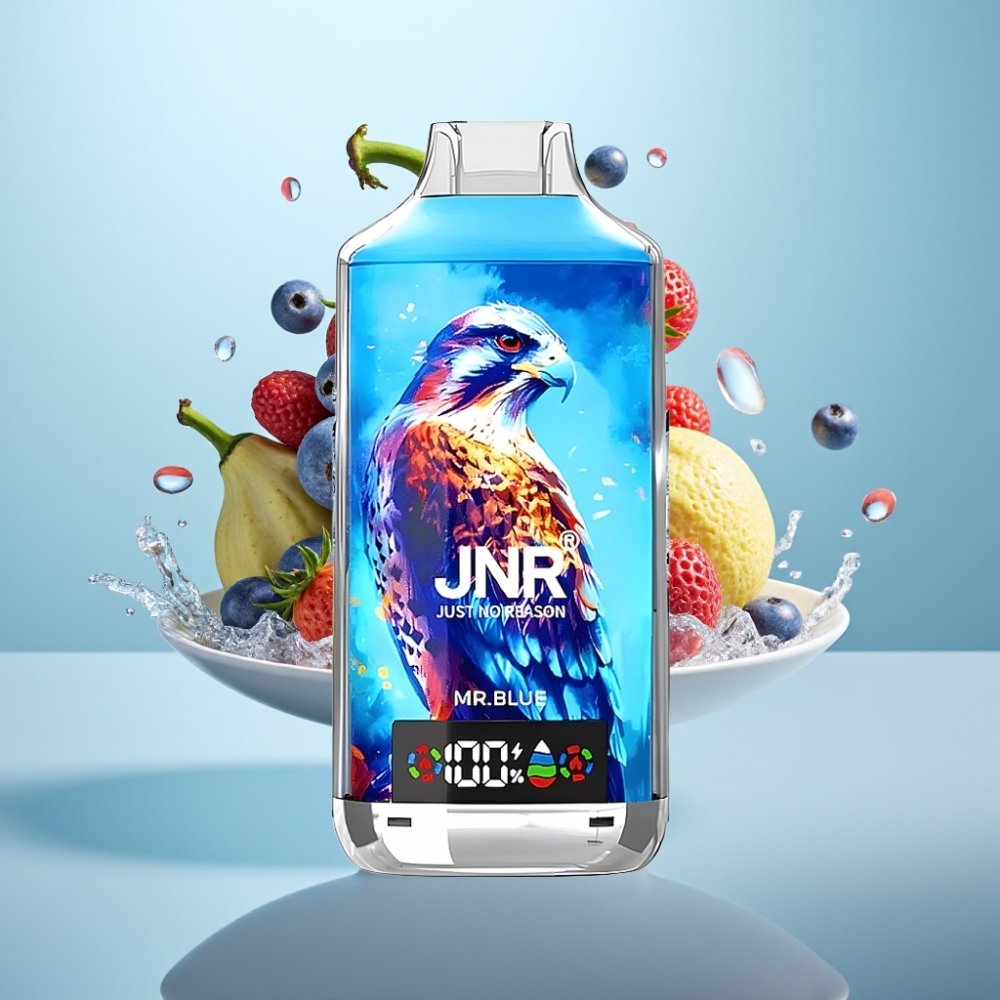 JNR Falcon X 18000 Puffs 24ml Mr. Blue