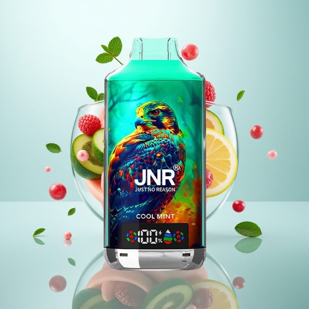 JNR Falcon X 18000 Puffs Disposable Vape Cool Mint 24ml 750mAh Type-C
