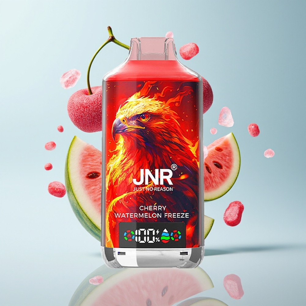 JNR Falcon X 18000 Pufi, 24ml, Type-C, Ķiršu Arbūza Ledus