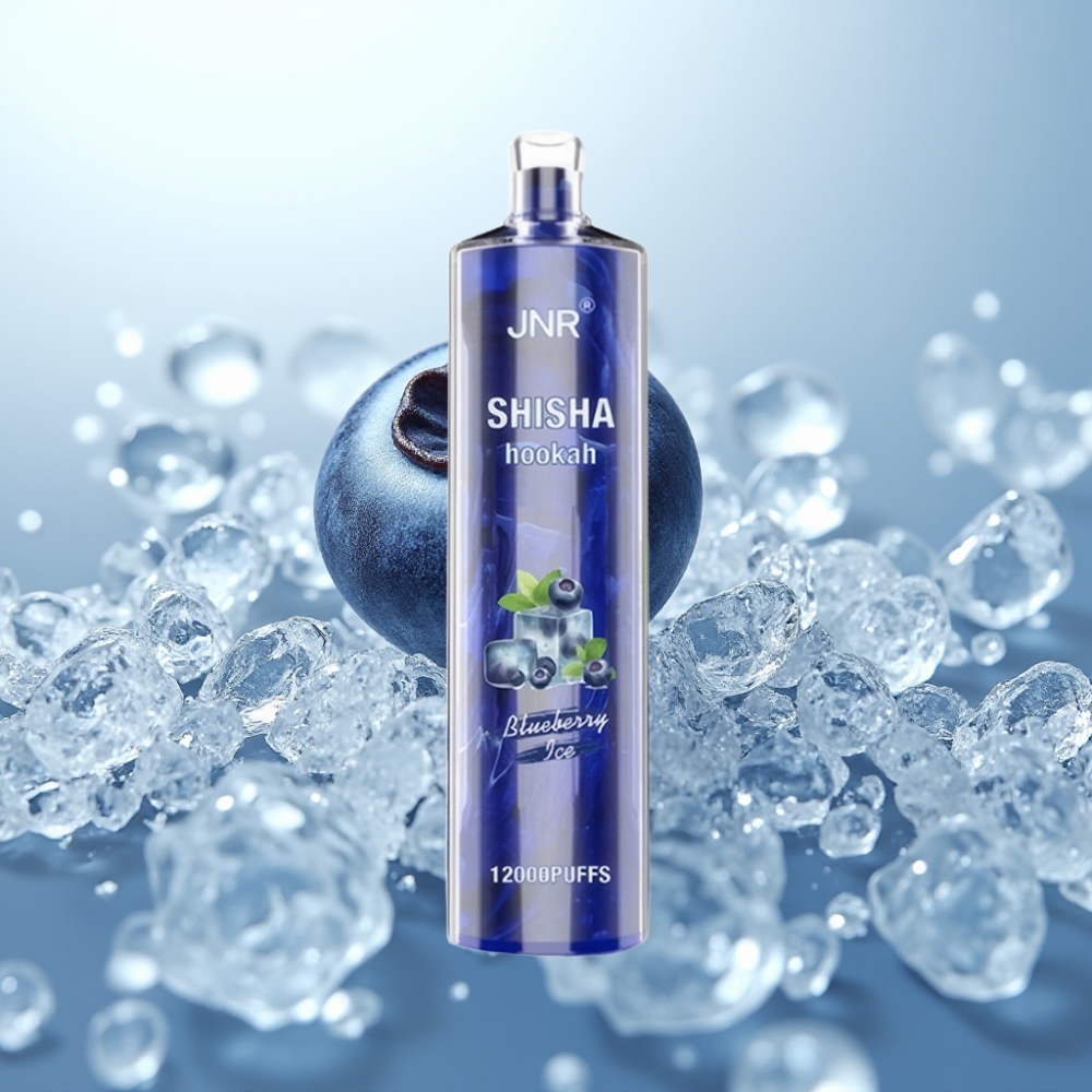 JNR Shisha Hookah 12000 Puffs, 24ml, 0.6Ω, Blueberry Ice