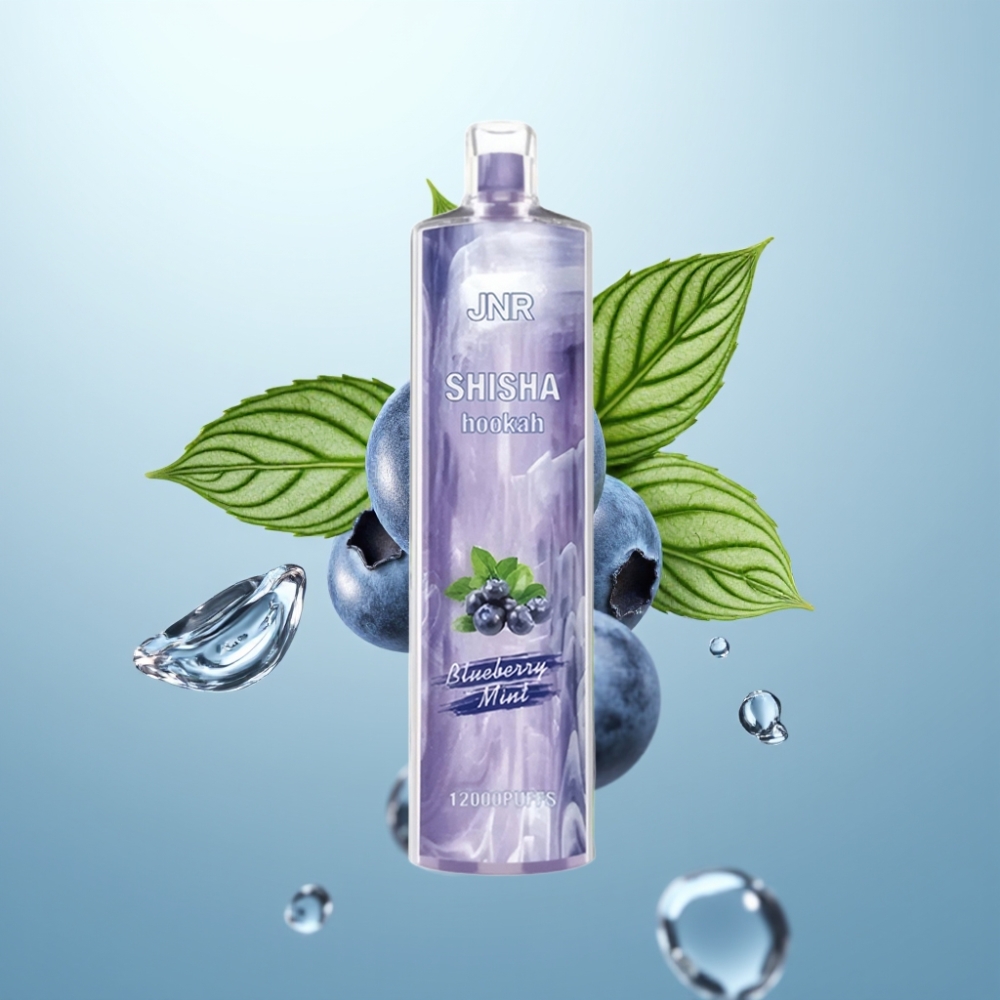 JNR Shisha Hookah 12000 Puffs Disposable Vape Blueberry Mint 750mAh 24ml