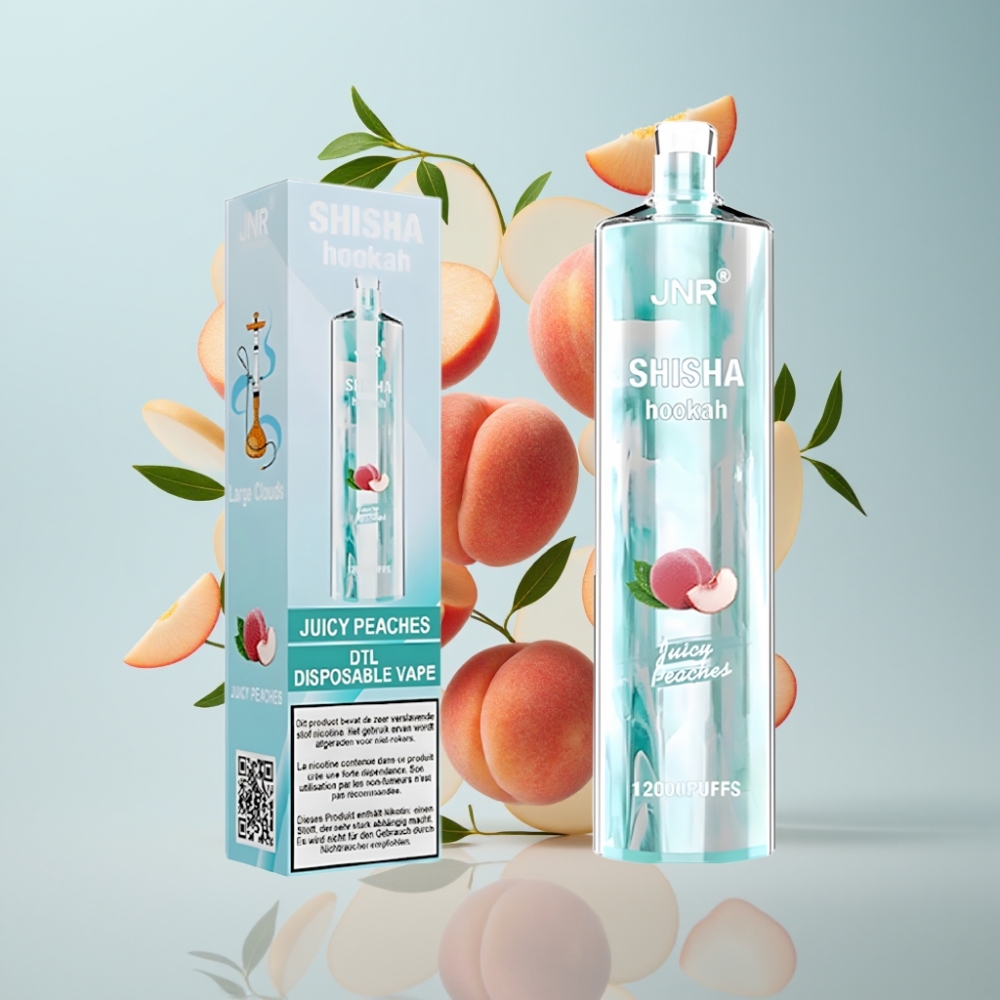JNR Shisha Hookah 12000 Puffs Disposable Vape Sulas Persiki, 24ml, 750mAh, Type-C