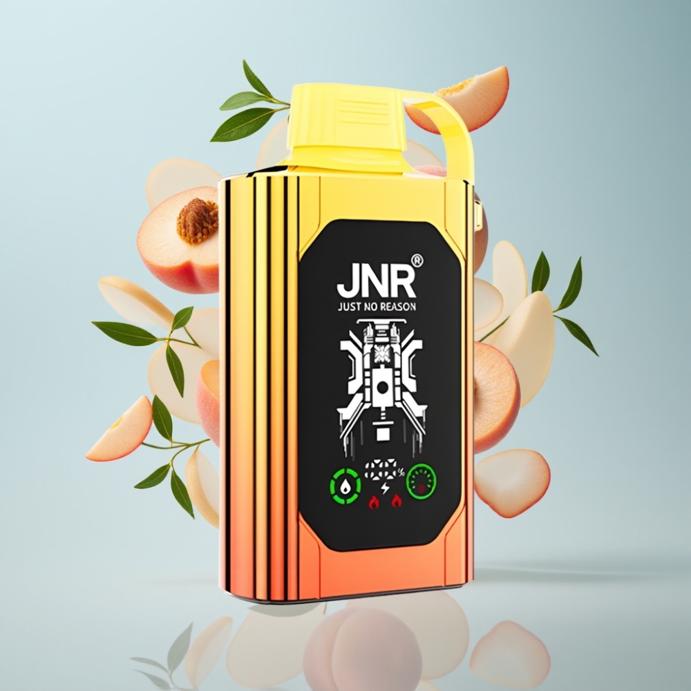 JNR Shisha Hookah Box 20500 Puffs Disposable Vape Sulas Persiki HD Displejs 25ml 1000mAh Type-C