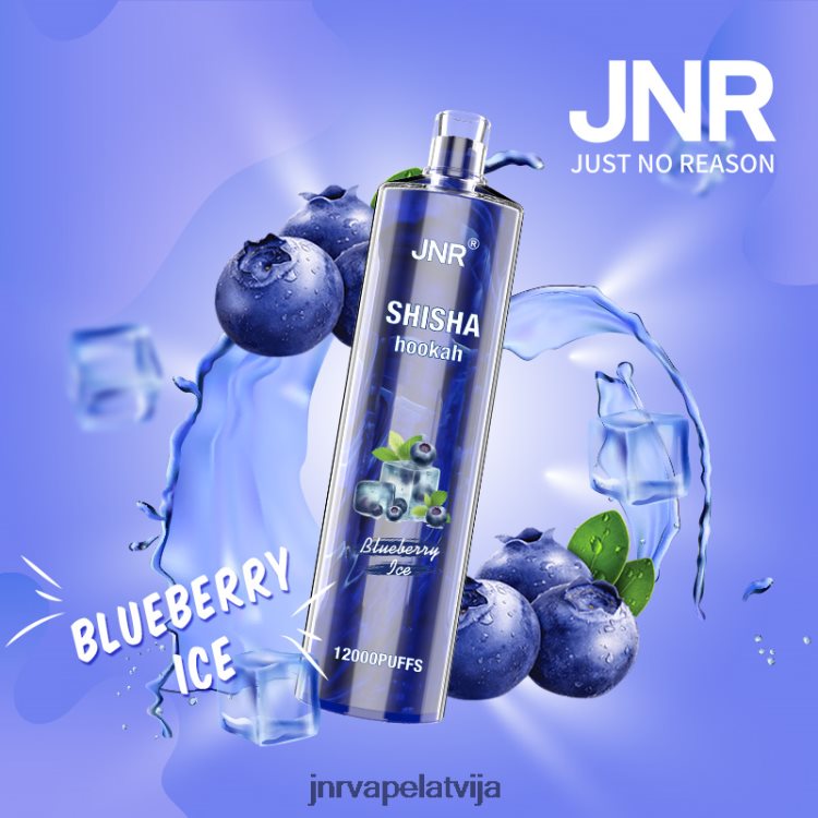 H2T4J161 JNR Vapes Website - jnr shisha melleņu ledus