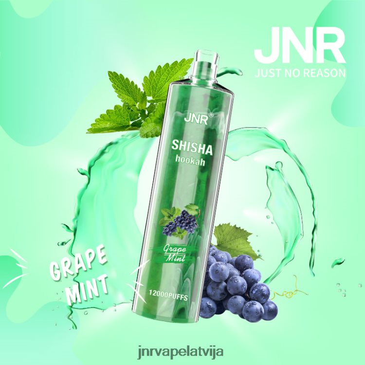 H2T4J171 JNR Vapes Website - jnr shisha vīnogu piparmētra
