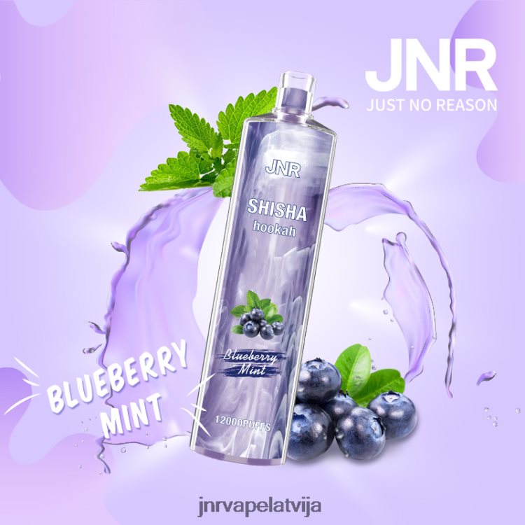 H2T4J172 JNR Vape Flavours - jnr shisha melleņu piparmētra